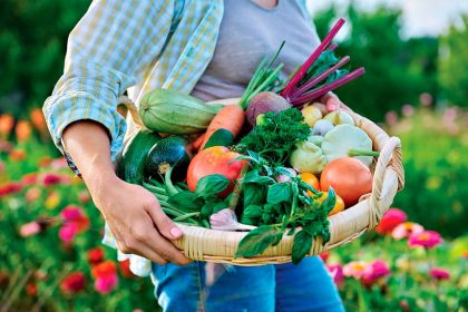 SUMMER HAUL: Many varieties love constant sunshine.