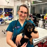 DREAM JOB: With help from TAFE Queensland, Nikky Brown has achieved her goal of becoming a vet.