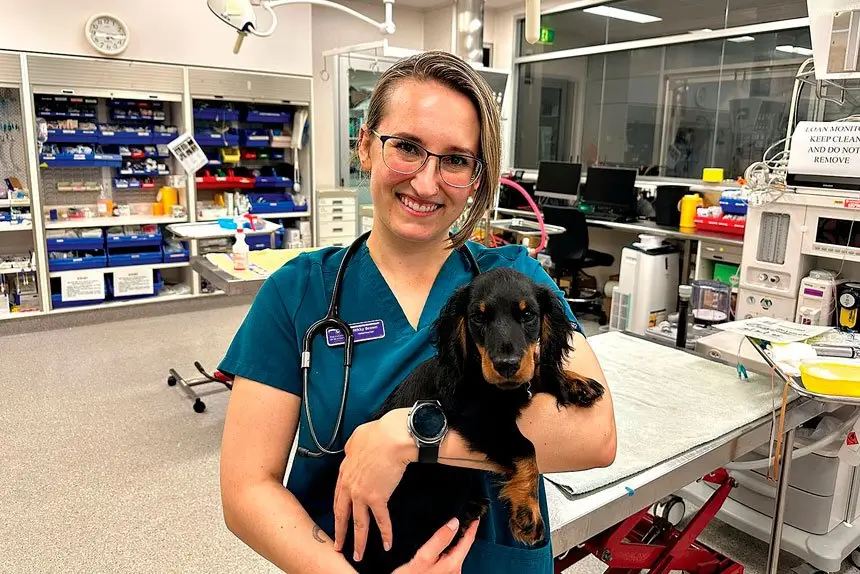 DREAM JOB: With help from TAFE Queensland, Nikky Brown has achieved her goal of becoming a vet.