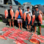 An impressive array of coral trout and red emperor.