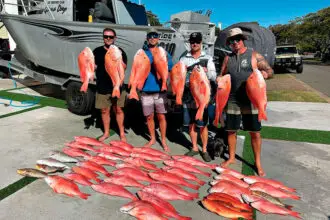 An impressive array of coral trout and red emperor.