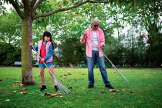 Cleaning up fallen leaves poses a few questions.