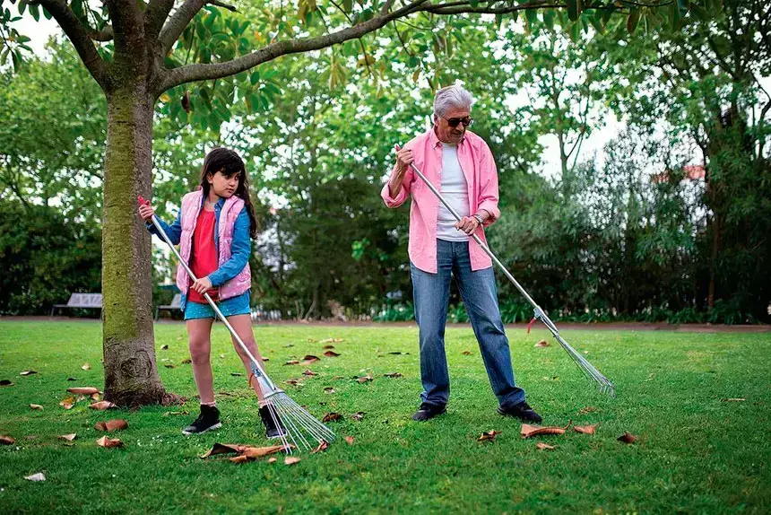 Cleaning up fallen leaves poses a few questions.