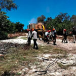 Considerable restoration work was required.