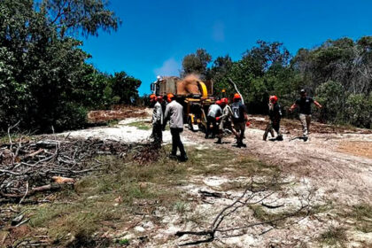 Considerable restoration work was required.