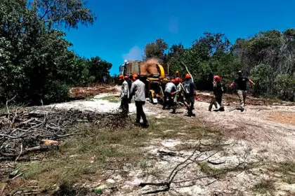 Considerable restoration work was required.