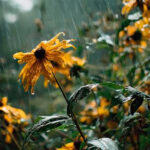 The need for hand-watering reduces immediately.