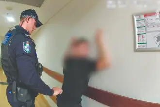 South Brisbane sees thousands wanded as Jack’s Law marks six months