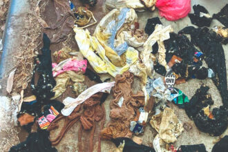 Vandalism at public toilets strains council resources across Redlands and Brisbane