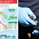 CRIME WATCH: A visual summary of the crime statistics.