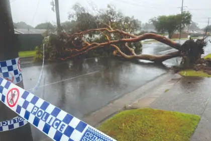 Redland City Council posts $3.5m surplus as storm clean-up costs bite