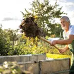 Think like a gardener: patient, careful, and respectful.