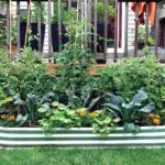 BE SMART: There are clever ways to reduce costs.