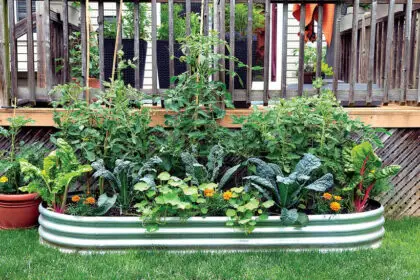 BE SMART: There are clever ways to reduce costs.