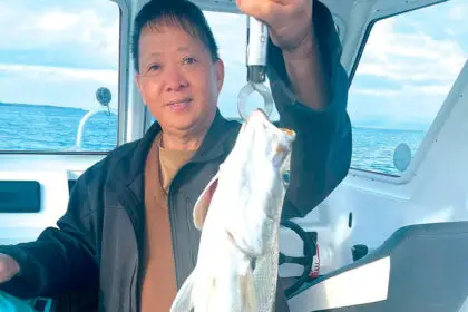 NICE CATCH: Peter Lou with a mulloway. Mr Lou fishes for the challenge and the thrill of not knowing what he is going to catch.