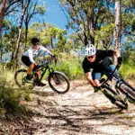 ALL ACTION: The 10-day festival, running from May 15 to 24, is set to deliver a packed program.