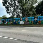 ONGOING DEBATE: The wall sits on State-controlled land, limiting the ability of Redland City Council to intervene directly.