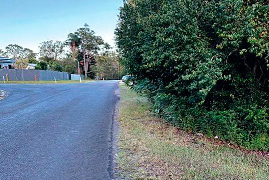 There is concern that vegetation is affecting drivers’ visibility.