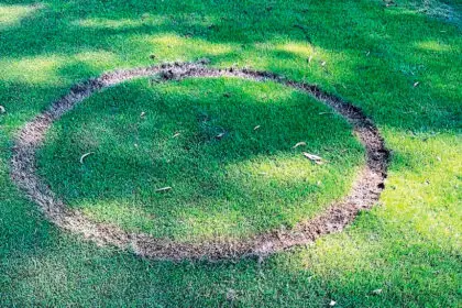 Thoughtless damage to the pitch will require a significant sum of money to rectify.