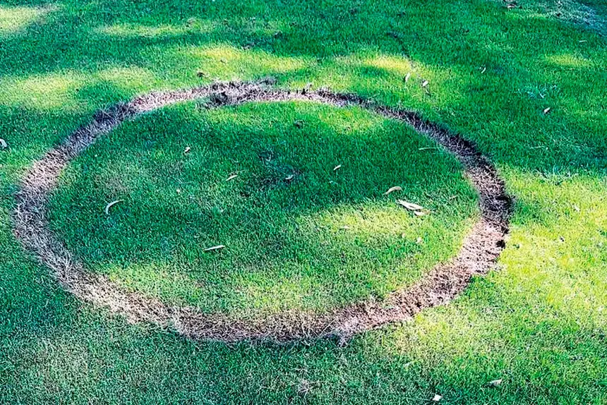 Thoughtless damage to the pitch will require a significant sum of money to rectify.