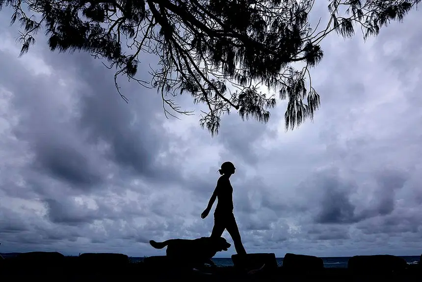 TOUGH TIMES: The Redlands Coast is a great place to have a business –but it’s not all plain sailing.