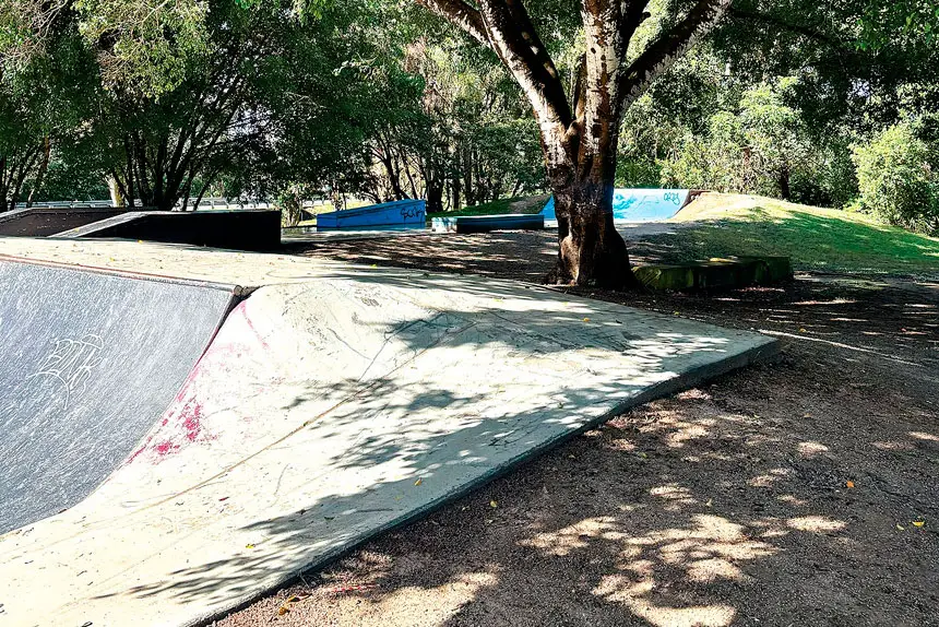 Thornlands Skate Park is in the news for the wrong reasons.