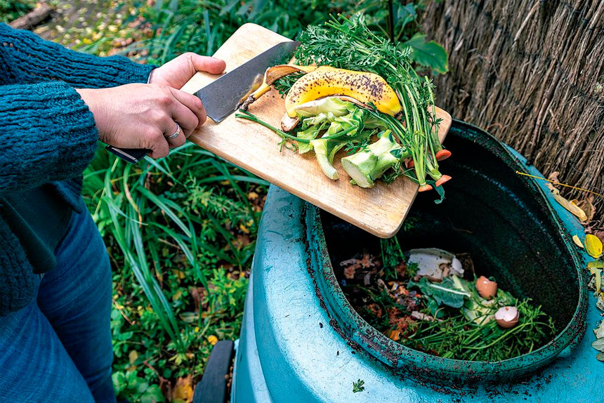Successful composting requires the right conditions.