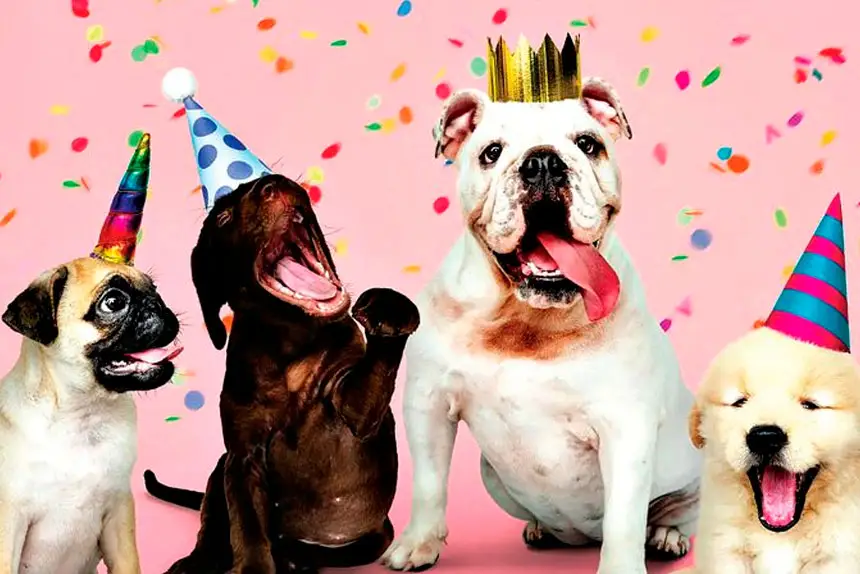 PuppyPalooza keeps things friendly.