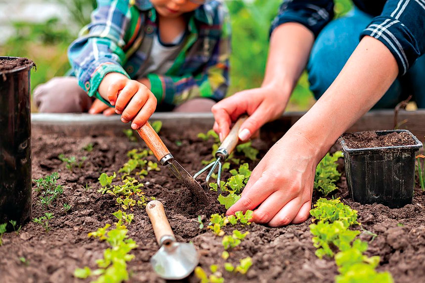 Timing is a key ingredient for success in the garden.