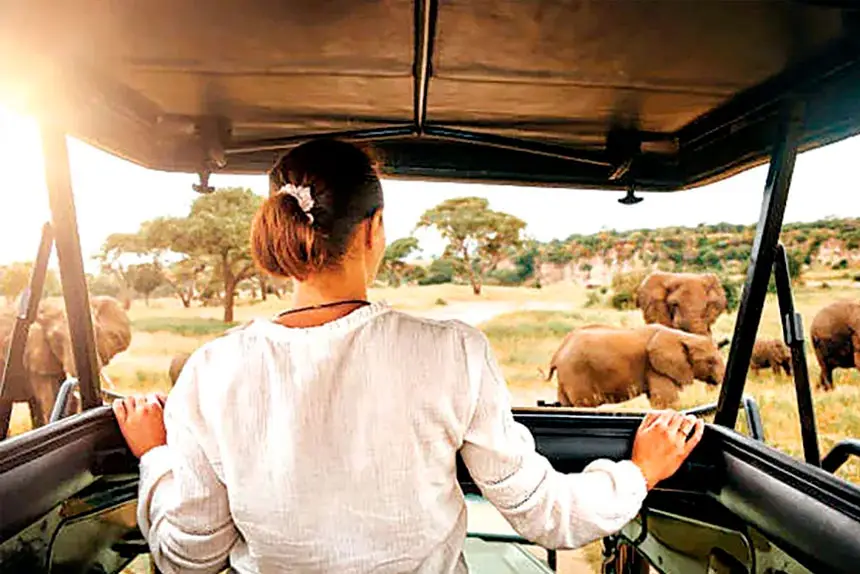 AFRICA AWAITS: The continent offers unforgettable wildlife encounters, rich cultural experiences and landscapes.