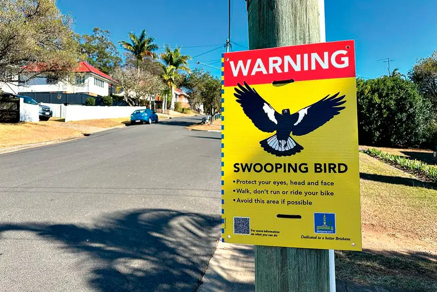 WARNING SIGN: It’s that time of year again when nervous eyes start pointing skywards.