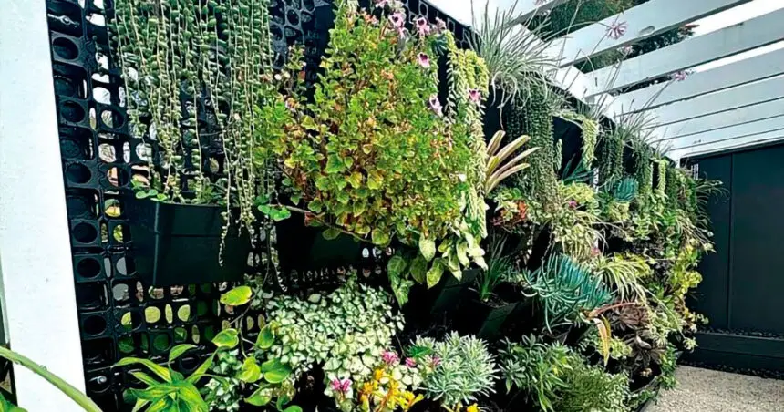 Hanging gardens help small backyards grow more produce