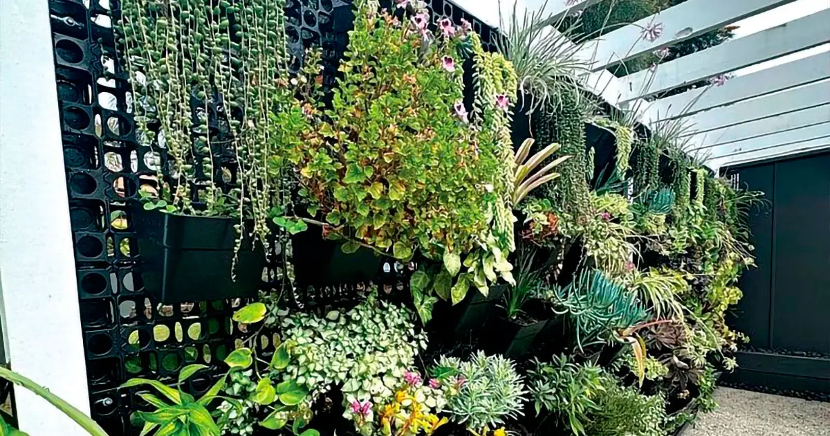Hanging gardens help small backyards grow more produce