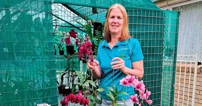 GREAT JOY: Sarah Baumback loves growing orchids.